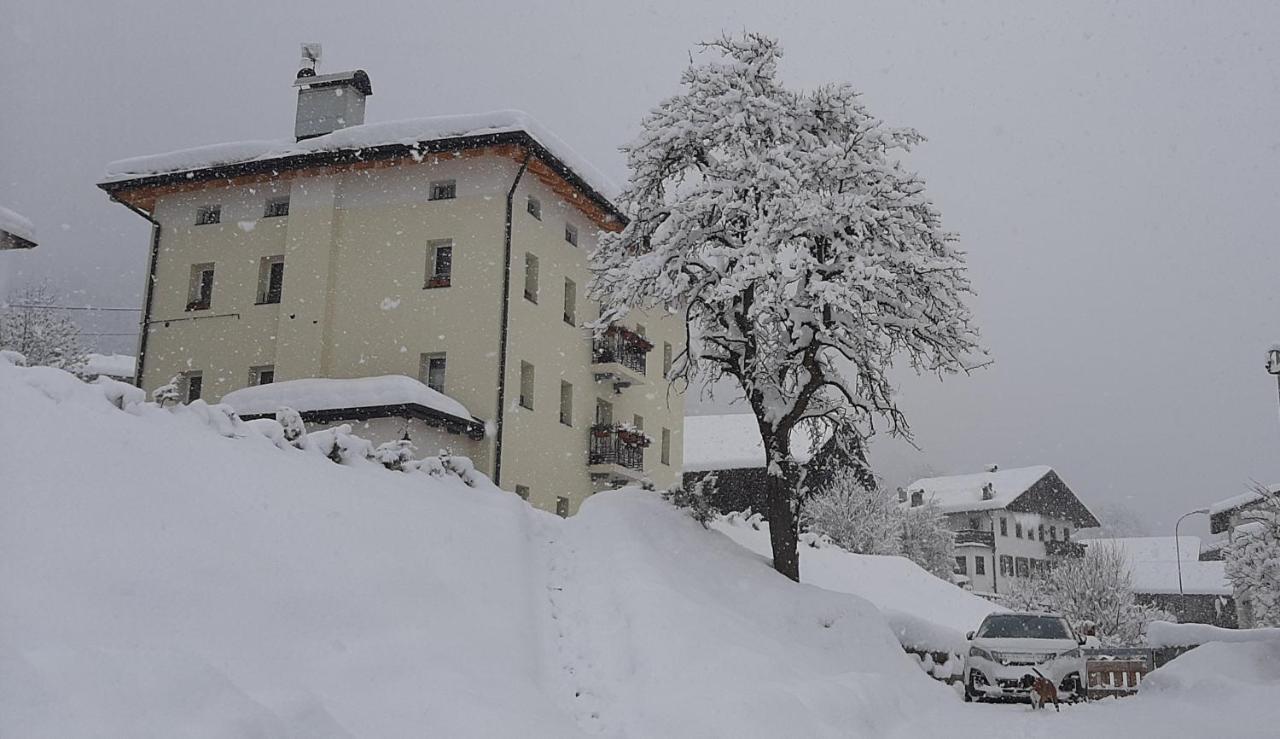 B&B SognoInCadore Domegge di Cadore Extérieur photo