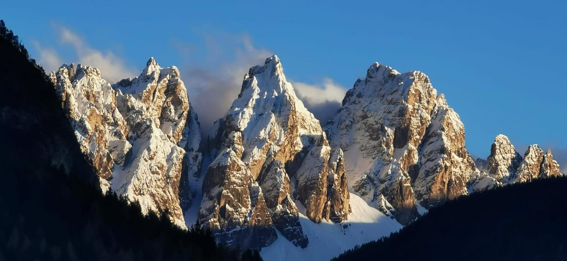 B&B SognoInCadore Domegge di Cadore Extérieur photo