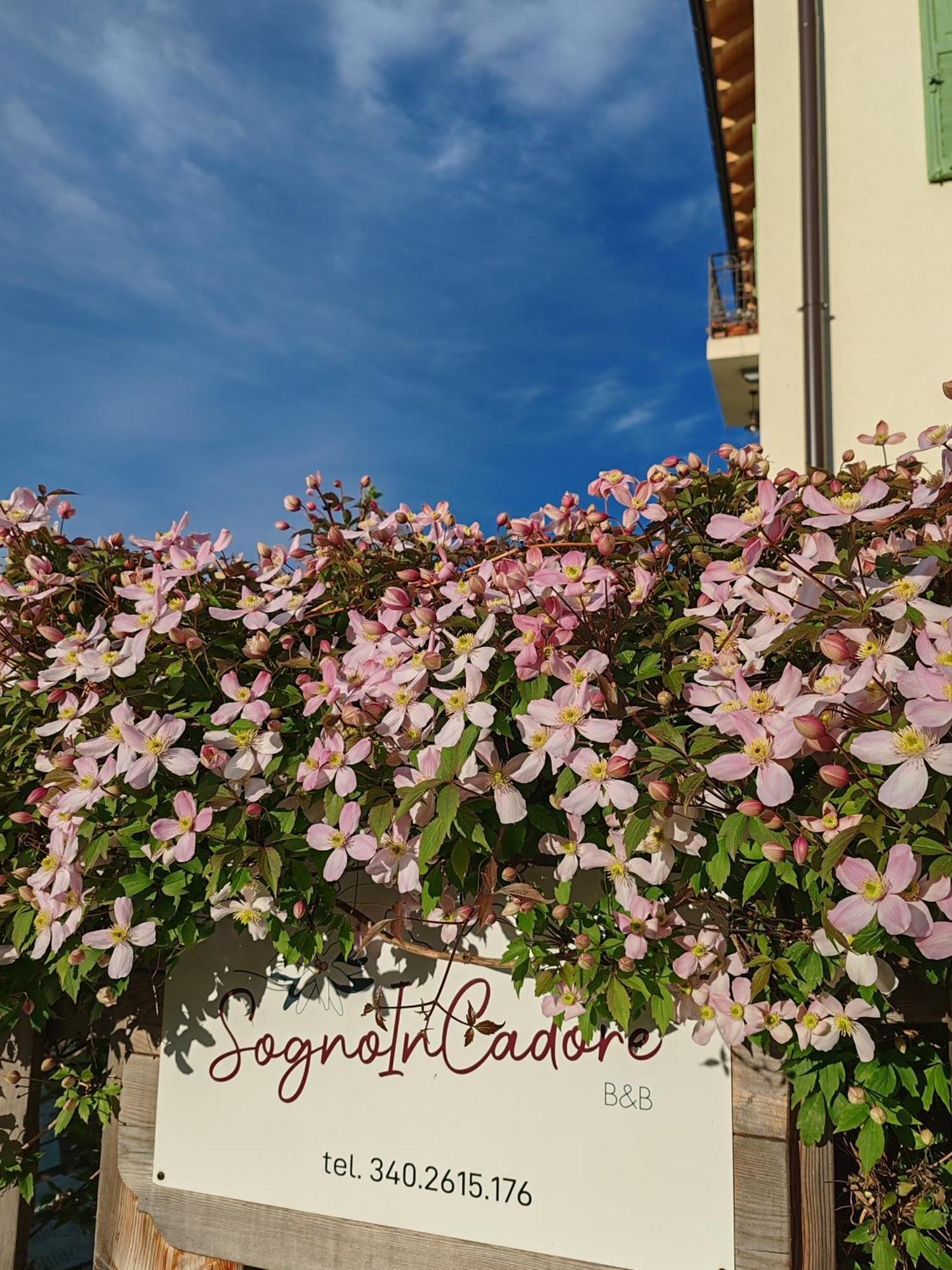 B&B SognoInCadore Domegge di Cadore Extérieur photo