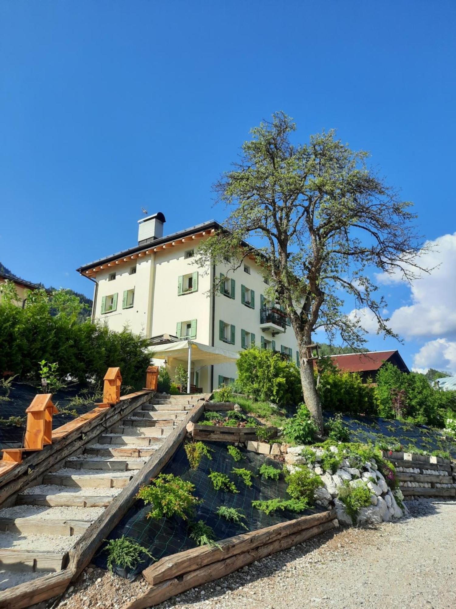B&B SognoInCadore Domegge di Cadore Extérieur photo