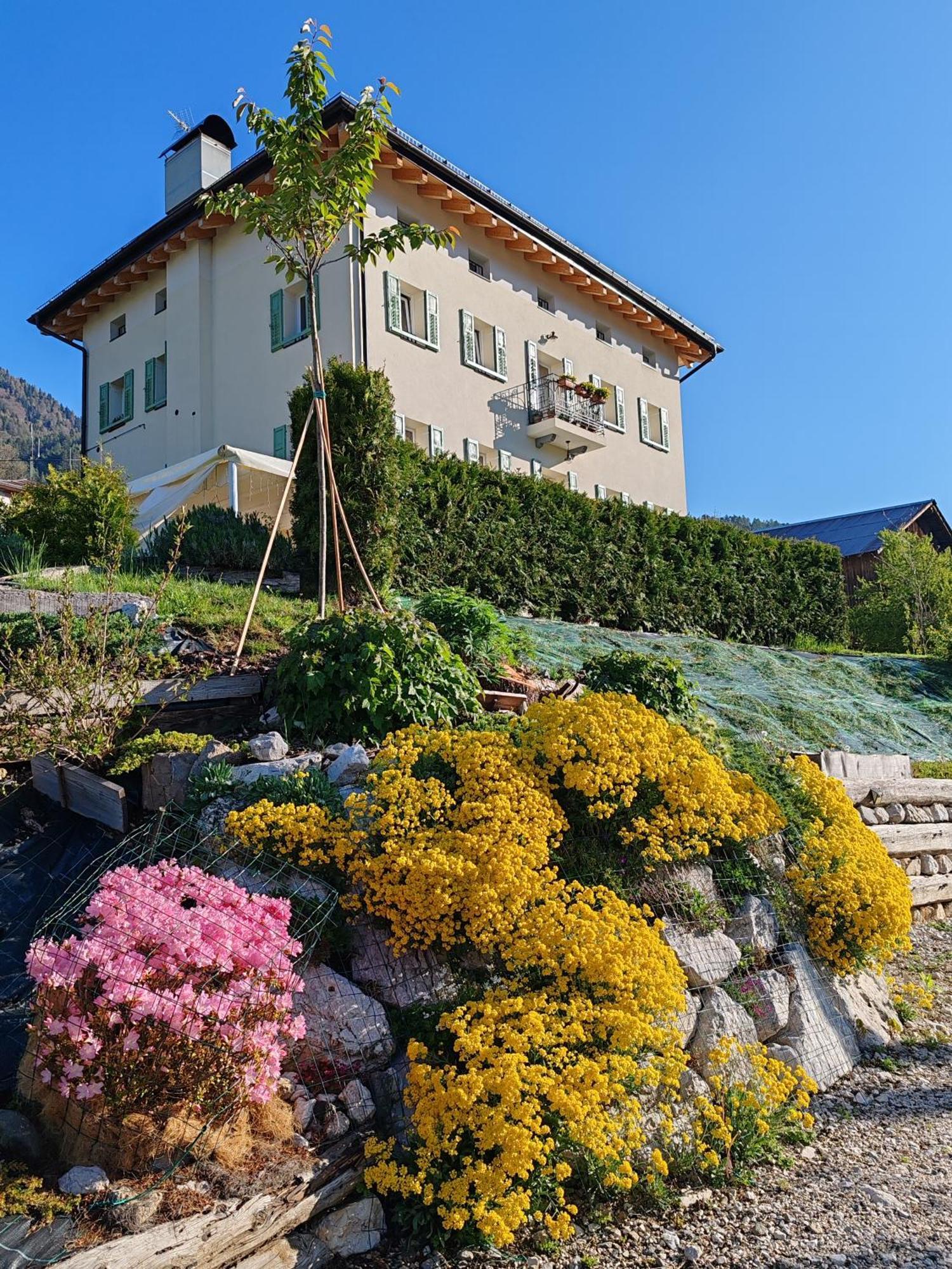 B&B SognoInCadore Domegge di Cadore Extérieur photo